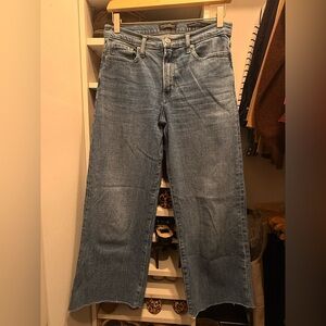 Banana Republic Blue Cropped Jeans